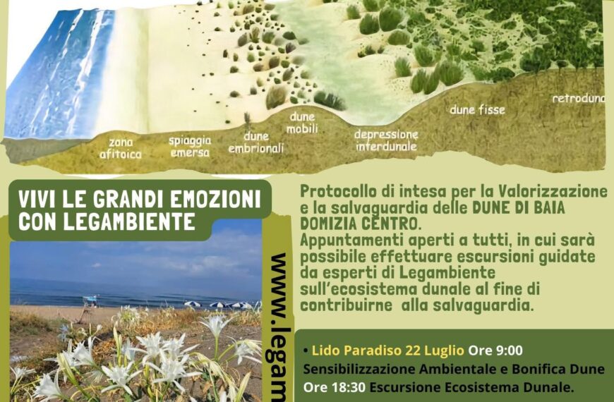 custodi dune