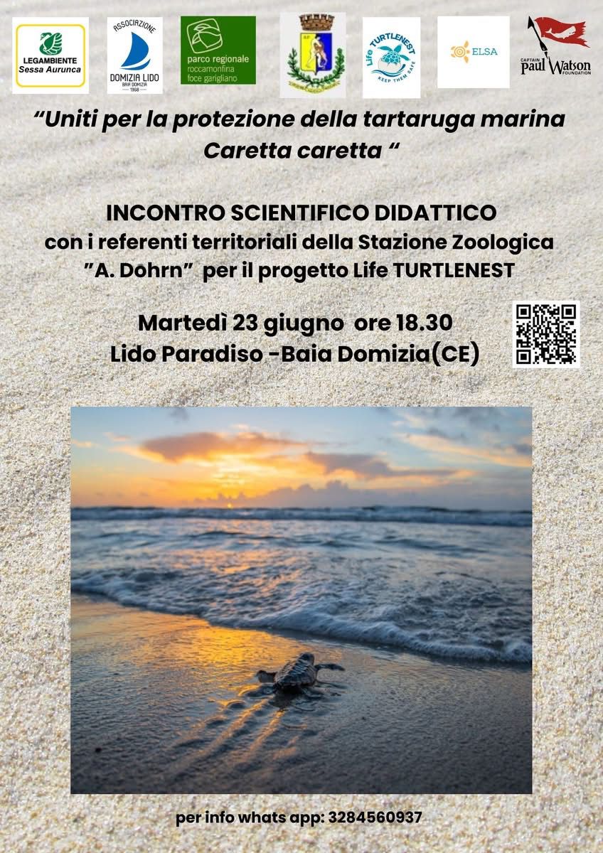 INCONTRO SCIENTIFICO DIDATTICO: LA TARTARUGA CARETTA CARETTA